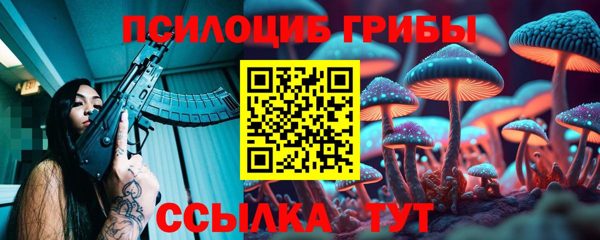 Галлюциногенные грибы Psilocybine cubensis Люберцы