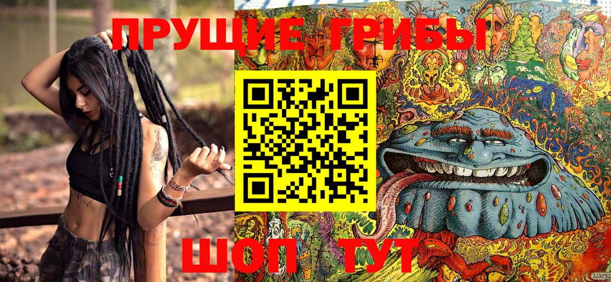 Псилоцибиновые грибы Psilocybine cubensis  Вход с VPN  что такое   Люберцы 